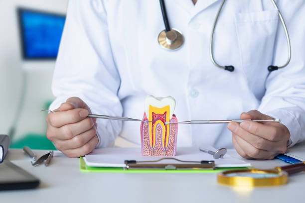Best Walk-In Emergency Dentist in West York, PA